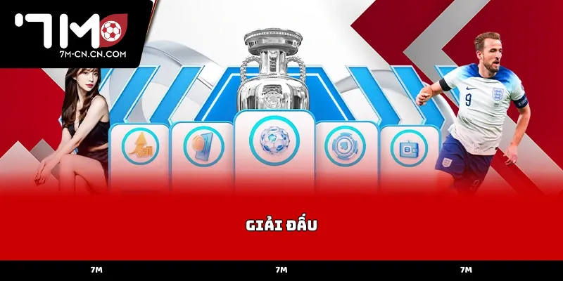 Sức hút từ các giải đấu cấp độ đội tuyển quốc gia